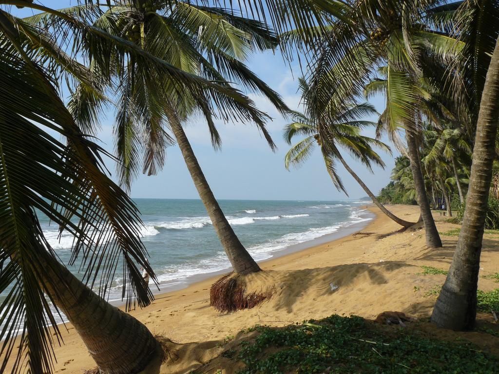 Karl Holiday Bungalow Kalutara Eksteriør billede