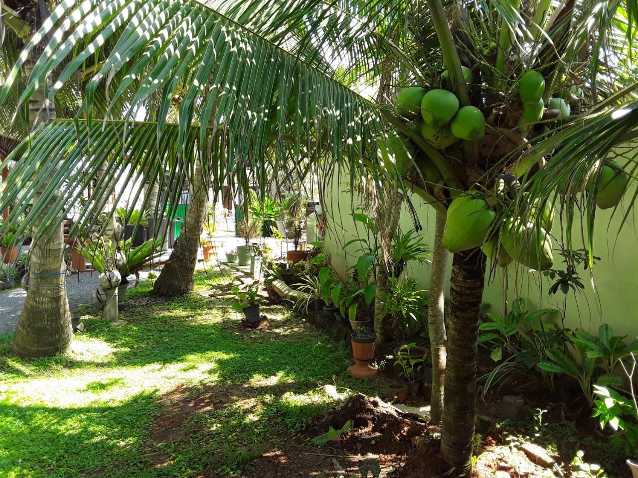 Karl Holiday Bungalow Kalutara Eksteriør billede